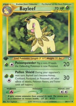 Bayleef (NG 28)