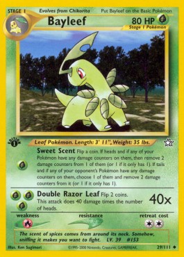 Bayleef (NG 29)