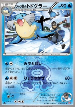 Team Aqua's Sealeo (CP1 004)