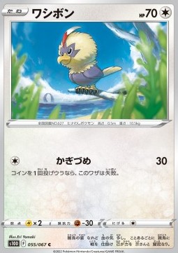 Rufflet (s10D 055)