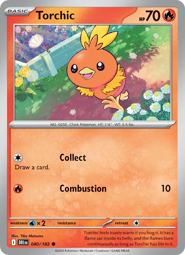 Torchic (DRI 040)